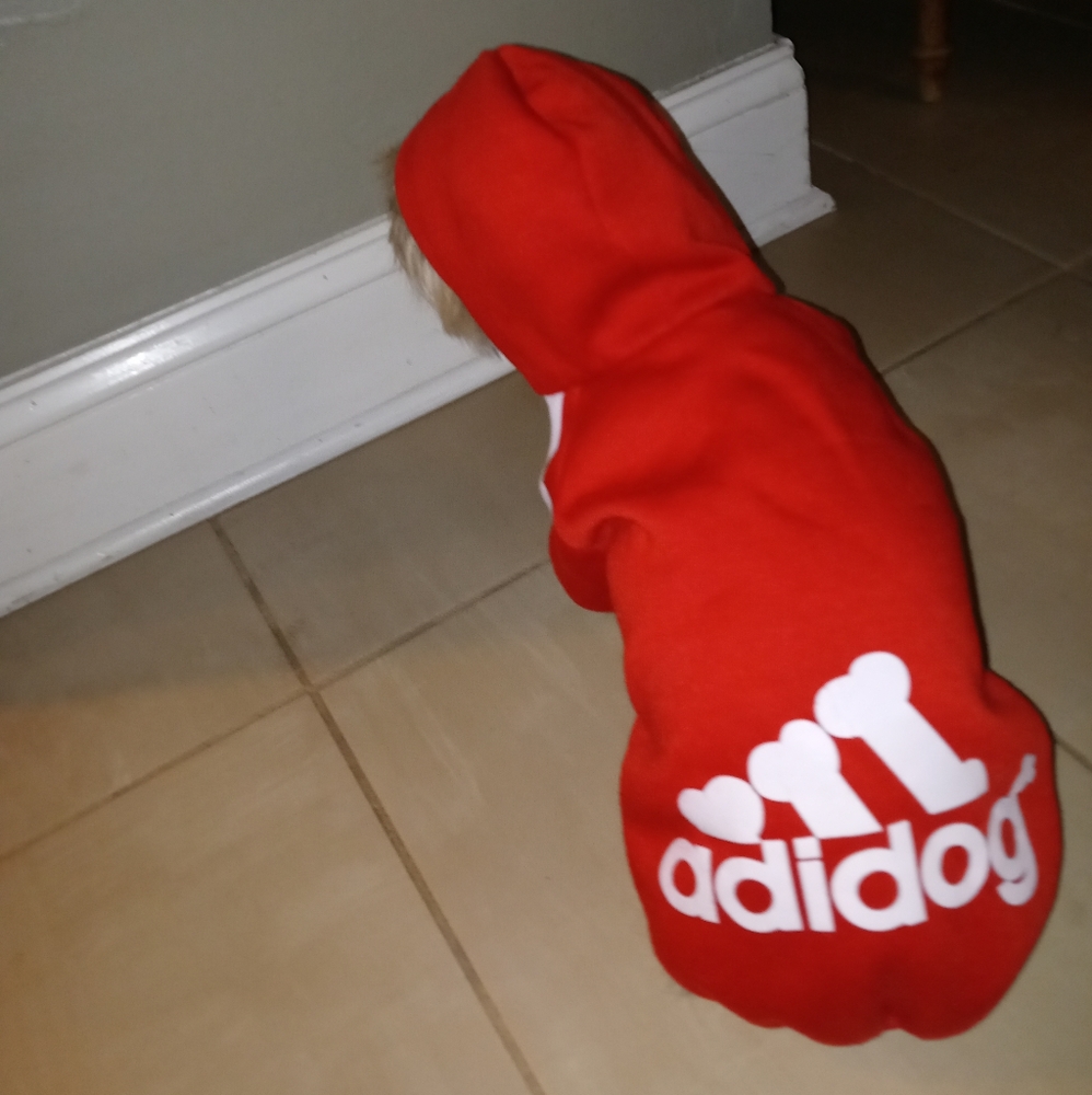 Small Adidog Hoodie sweatshirt for Dog